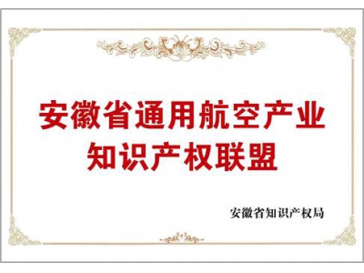 安徽省通用航空產(chǎn)業(yè)知識(shí)產(chǎn)權(quán)聯(lián)盟